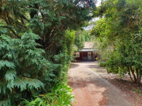Rustic Queen of Leura, Leura